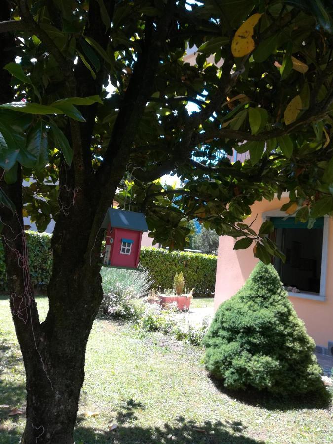 Bed and Breakfast La Moia Cerete Екстер'єр фото